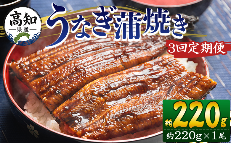【３回定期便】高知県産養殖うなぎ蒲焼き 約220g×１尾  うなぎ 魚介 国産 海鮮 魚 かばやき 鰻 ウナギ 惣菜 おかず お手軽 加工品 加工食品 冷凍 Wfb-0058