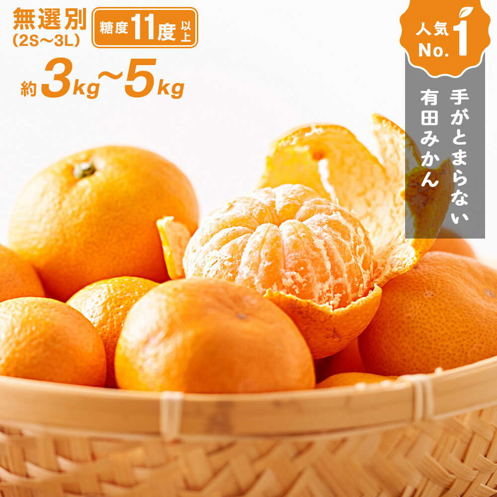 【ふるさと納税】手が止まらない 訳あり 有田みかん 約3～5kg 大きさ無選別（2S〜3L） 糖度11度以上 鳴川農園【2026年11月以降発送予定】 | みかん 蜜柑 フルーツ 果物 くだもの 食品 人気 おすすめ 送料無料 産地直送