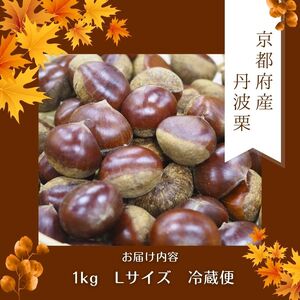 【京都の秋の味覚 丹波栗】 Lサイズ 1kg  丹波栗