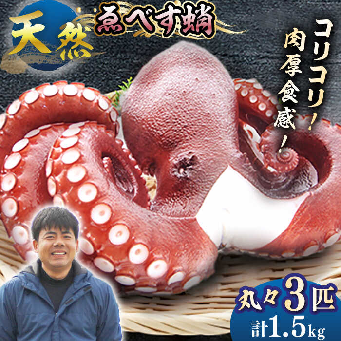 【ふるさと納税】【数量限定】ゑべす蛸3匹（計1.5kg）＜大瀬戸町漁協＞[CAR007] 西海市 海鮮 海の幸 天然 タコ 蛸 たこ 冷凍