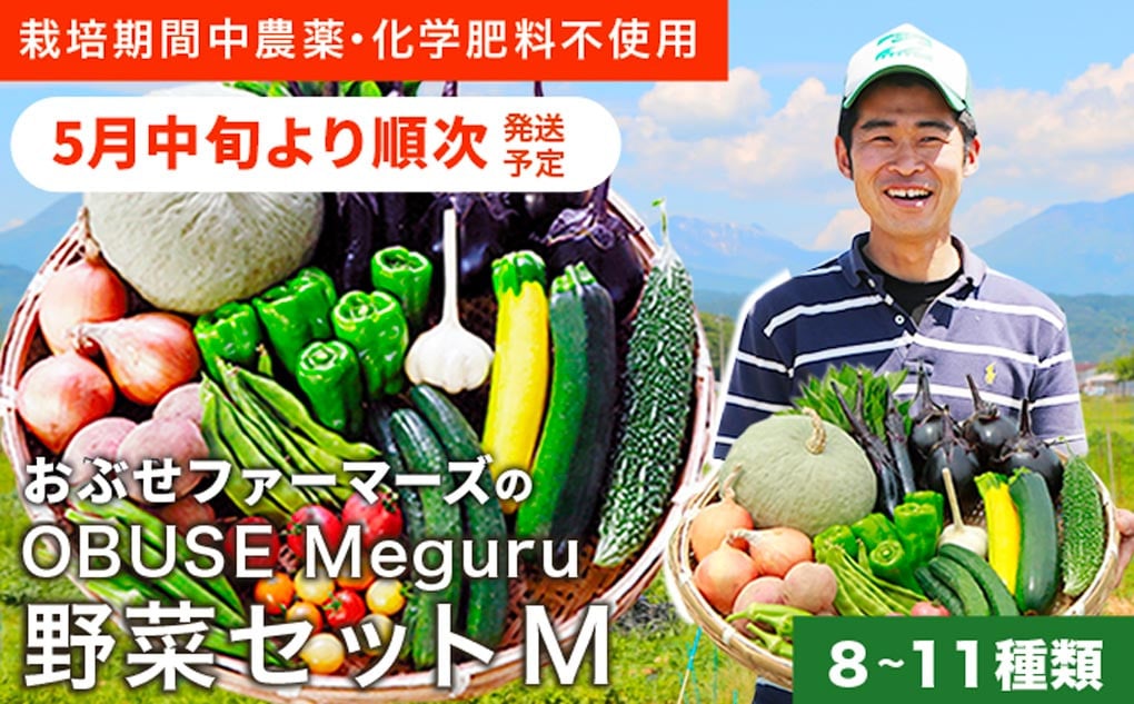 
            ［ 栽培期間中 農薬・化学肥料不使用］ OBUSE Meguru 野菜セット M 8～11種類 ［おぶせファーマーズ］野菜 詰め合わせ おまかせ やさい 詰合せ お楽しみ 長野県産 信州 令和7年産 【2025年5月中旬より順次発送】 ［FY-2］
          