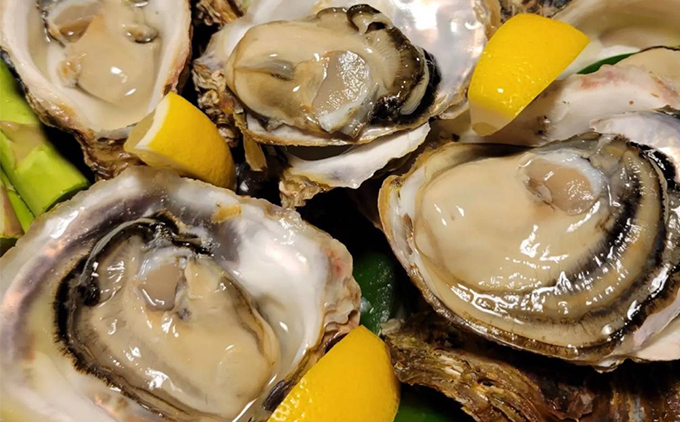 【先行予約 2026年7月20日より発送】奥尻島産養殖岩ガキ【Mサイズ】殻付き 20個入り（加熱食用）〜豊かな海が育てた海の宝石〜 | 冷蔵 | 北海道 奥尻町 送料無料
