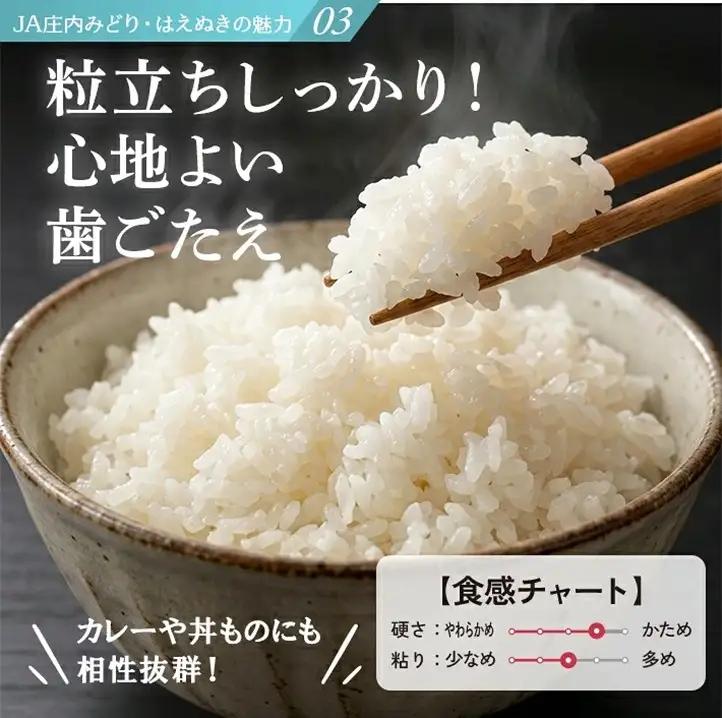 SD0302　12月中旬配送／令和8年産【精米】庄内産 はえぬき　15kg(5kg×3袋) JM