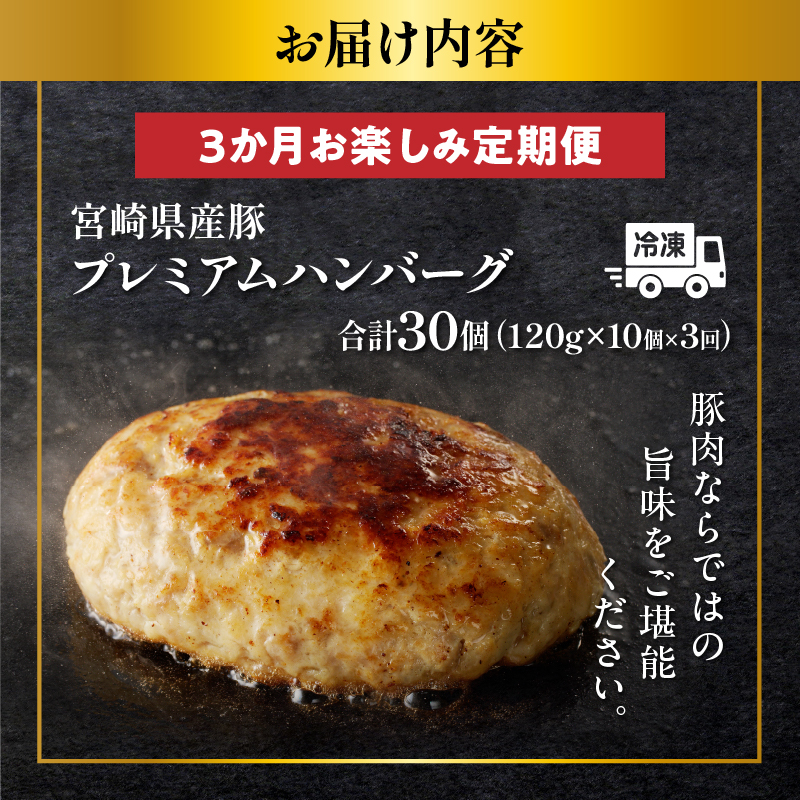 ≪3か月お楽しみ定期便≫宮崎県産豚プレミアムハンバーグ(合計30個) _T001-0177【肉 豚肉 加工品 国産 人気 ギフト 食品 おかず 自家製 お土産 贈り物 送料無料 プレゼント】