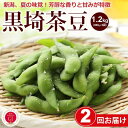 【ふるさと納税】【2024年8月 2回お届け】くろさき茶豆1.2kg 2024年 先行予約 定期便 枝豆 野菜 つまみ おつまみ えだまめ エダマメ 新潟 定期 お楽しみ 2回　【定期便・ 朝採り茶豆 朝採り枝豆 朝採り野菜 新鮮野菜 】　お届け：2024年8月