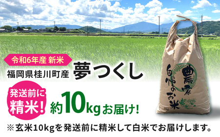 【先行受付】【2024年11月以降発送】令和6年度 福岡県桂川町産夢つくし　白米（玄米10kgを発注後精米してお届け！）  桂川町/一般社団法人地域商社いいバイ桂川[ADBB004]