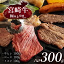 【ふるさと納税】 宮崎牛 極み上焼肉セット | 宮崎牛 牛ヒレ 100g 宮崎牛 サーロイン 100g 宮崎牛 ミスジ 100g 宮崎牛 A4 黒毛和牛 牛肉 肉 にく 赤身 国産 ブランド牛 ステーキ 焼肉 宮崎県 五ヶ瀬町