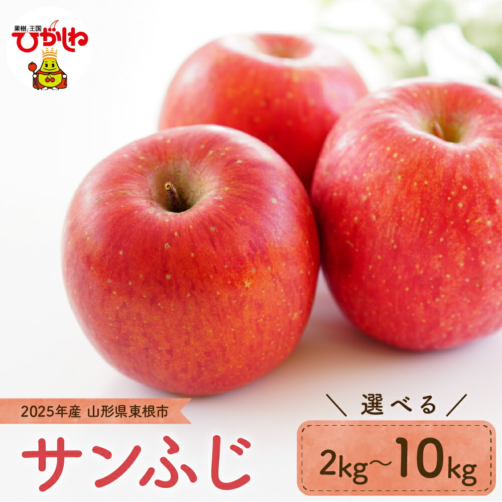 りんご「サンふじ」 2024年産 選べる内容量 2kg 3kg 5kg 10kg リンゴ 林檎 アップル フルーツ 果物 くだもの 秋 旬 お試し お取り寄せ 産地直送 ご当地 特産 グルメ 送料無料 東北 山形県 東根市