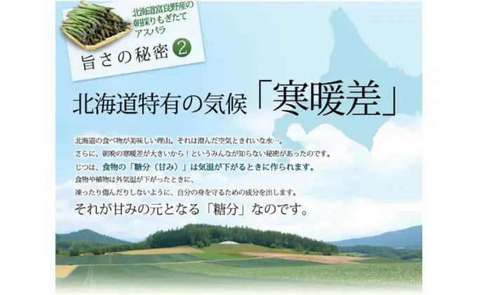 【2027年春発送】グリーン・ホワイト アスパラ セット サイズ混合【2kg】100本前後 野菜 アスパラガス 大容量