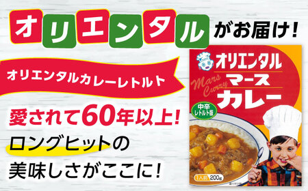 マースカレー・ハヤシレトルトセット3種9個（オリジナルスプーン付） / レトルトカレー 中辛 辛口 ハヤシライス ご当地 カレー / 稲沢市 / オリエンタル [BMAM004]