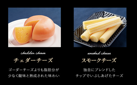 チーズオールスターズ定期便全2回 【 チーズ 乳製品 カマンベール チェダー ゴーダ 】 OSA023