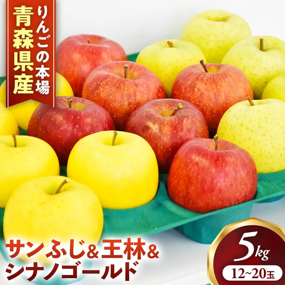 【詰め合わせ３種】青森県産りんご ＜サンふじ 王林 シナノゴールド＞ 約5kg 11月下旬～ りんご