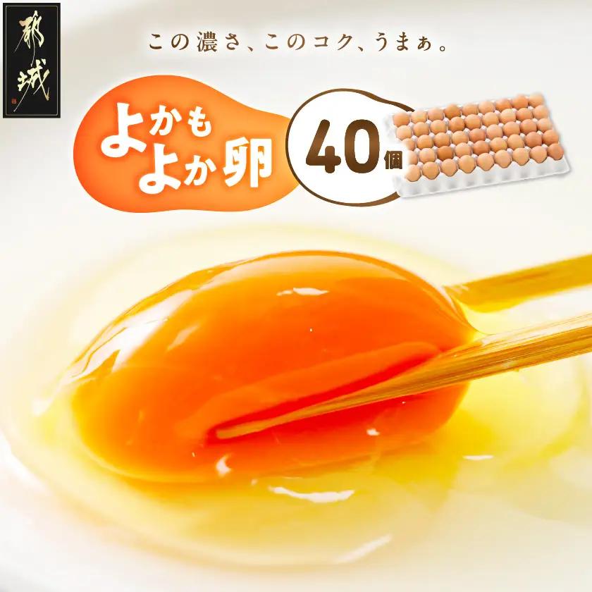 よかもよか卵40個_11-29-010-40_(都城市) 赤卵Mサイズ 破損補償(5個追加) 生卵 鶏卵 玉子 タマゴ たまご 新鮮 濃厚 宮崎県産 家庭用 卵かけご飯 シフォンケーキ たまご焼き オムレツ お料理・お菓子作りに