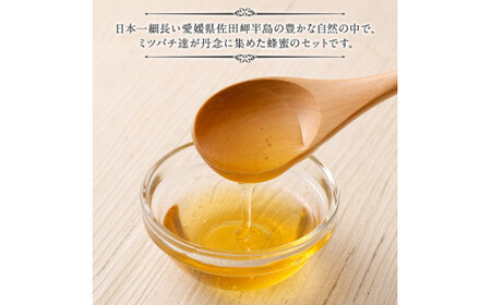 「岬のしずく」佐田岬半島産純粋蜂蜜 (みかん・もち)各300g2本セット【えひめの町（超）推し！（伊方町）】(325)
