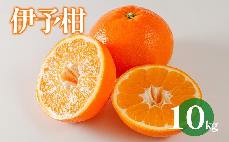 伊予柑 約10kg 【2027年1月下旬から順次発送 】 | 愛媛 みかん 柑橘 ミカン かんきつ 蜜柑 フルーツ くだもの 果実 オレンジ mikan カンキツ 果物 ふるーつ 防腐剤不使用 マーマレード ピール お菓子 おやつ デザート グルメ お取り寄せ 送料無料 松山市 愛媛県