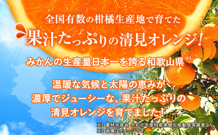 ＜先行予約＞【家庭用訳アリ】紀州有田産清見オレンジ約7.5kg株式会社魚鶴商店《2027年3月下旬-4月下旬頃出荷》和歌山県オレンジ柑橘ご家庭用---wsh_uot243_3g4g_26_16000_