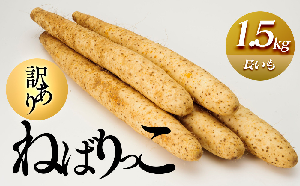 【訳あり】ねばりっこ1.5kg 長芋 鳥取県産 ※期間限定11月上旬から4月中旬頃に順次発送予定