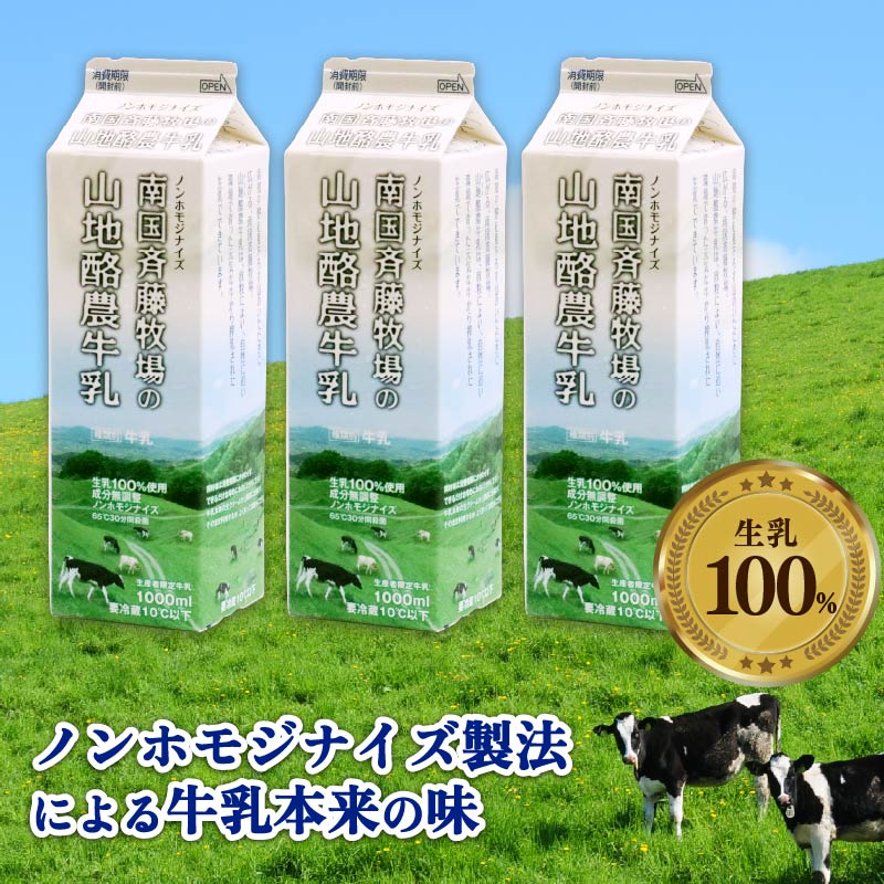 【12か月定期便】山地酪農牛乳1L×3本【バターができる 低温殺菌 生乳100％ 成分無調整牛乳 ノンホモジナイズ製法 お菓子作り ぎゅうにゅう ミルク 南国斉藤牧場 高知県 南国市】