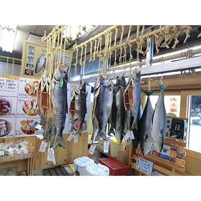 ふるさと納税 魚津市 【富山の干物専門店】　伝承の紅鮭 10切 |  | 02