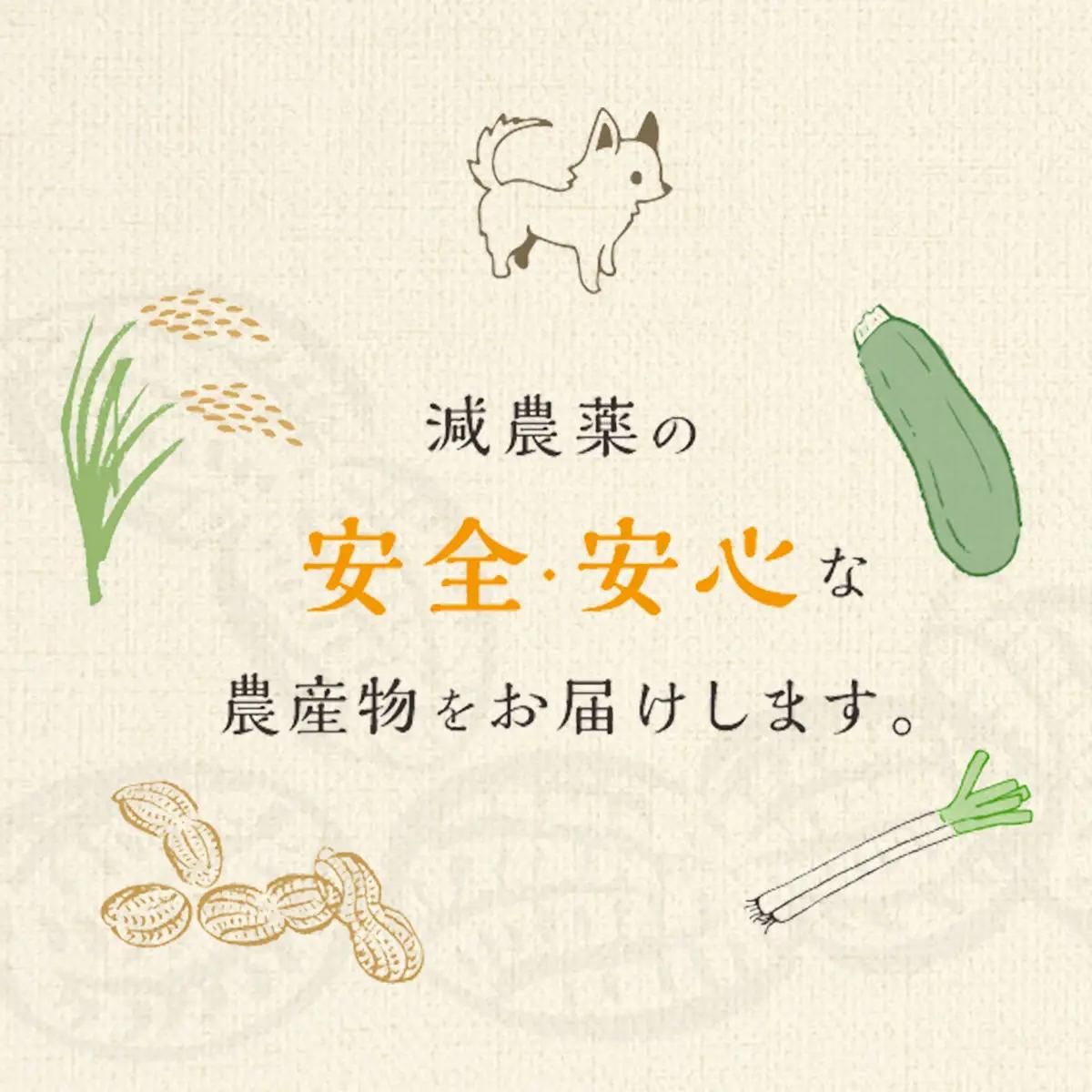 【先行予約】【11月上旬から発送】落花生・Ｑなっつのアイス10個セット（プレーン5個・キャラメルピーナッツ5個） ／ふるさと納税 ピーナッツ ナッツ 豆 落花生 アイス 千葉県 山武市/豆 甘い 落花