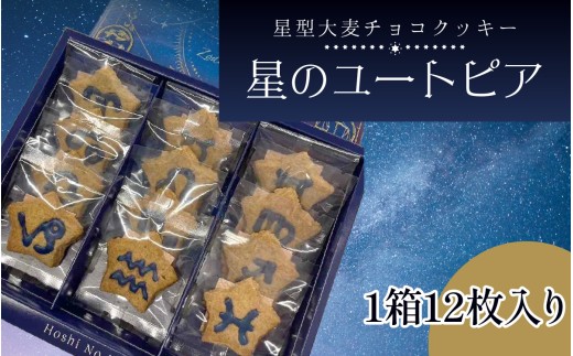 星のユートピア（大麦チョコクッキー）