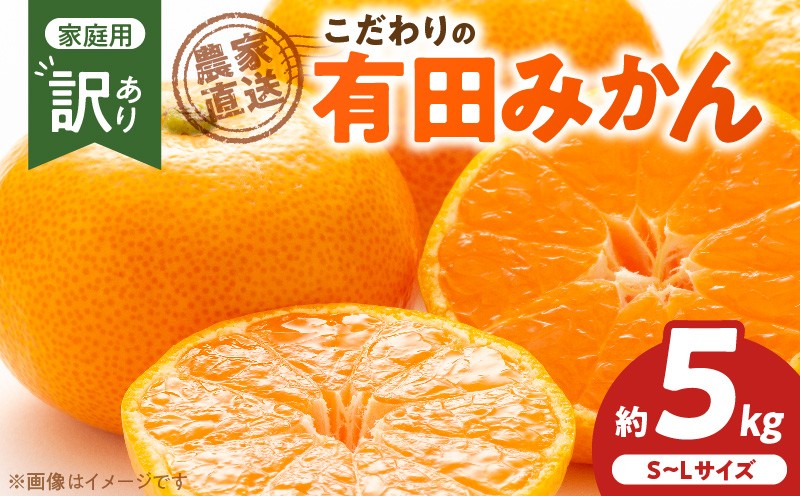 
                  ZT6406_【2026年先行予約】こだわりの 有田みかん訳ありご家庭用 約5kg サイズS～L
                