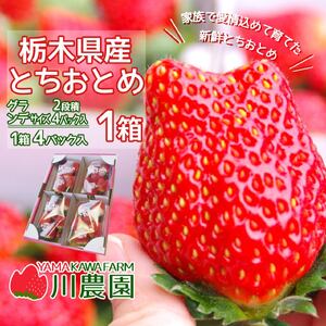 とちおとめ320g×4パック 約1.2kg グランデサイズ いちご 苺 イチゴ フルーツ 果物 国産 新鮮   | いちご 栃木 とちおとめ 甘い 糖度 旬 新鮮 フルーツ 果物 アレンジ スイーツ 