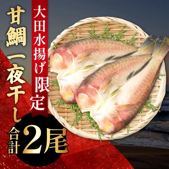 大ぶり甘鯛一夜干（２尾）【甘鯛 一夜干し 2尾 干物 あまだい ぐじ 大ぶり おつまみ 酒の肴 素焼き 唐揚げ 鯛 たい タイ あまだい アマダイ 魚介 魚貝 一日漁 無添加 贅沢 高級 父の日 母の日】
