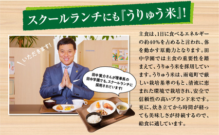 【定期便全6回】令和5年産 うりゅう米 ななつぼし 無洗米 10kg（5kg×2袋）毎月1回お届け