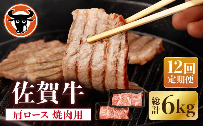 【12回定期便】佐賀牛 肩ロース 焼肉用 計500g（250g×2p） / 佐賀牛 佐賀県産黒毛和牛 牛肉【一ノ瀬畜産】 [NAC154]