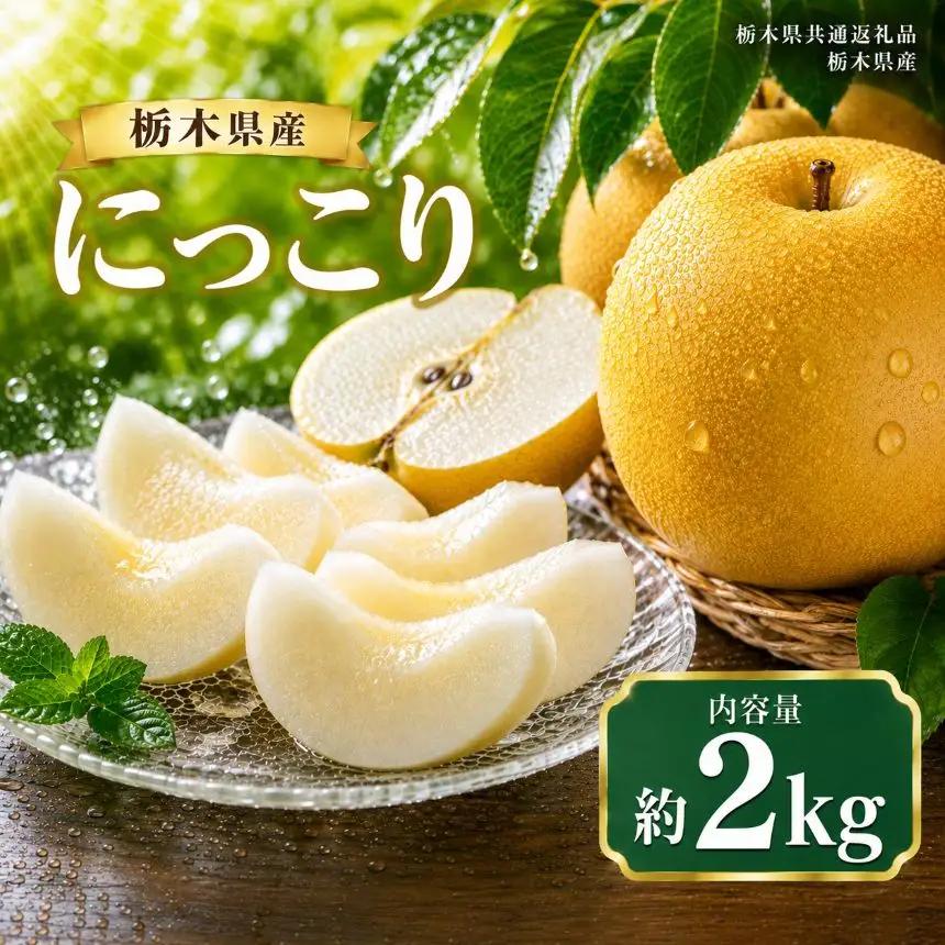 梨 にっこり 約2kg｜栃木県共通返礼品 栃木県産 栃木県 那珂川町 