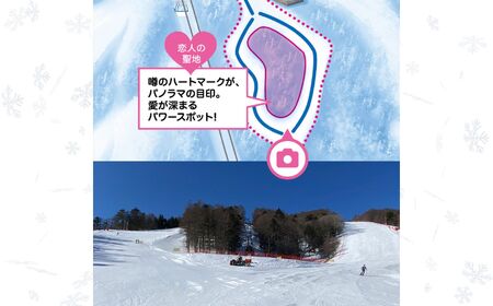 【先行予約】スキー場 リフトとゴンドラ利用券 シーズン券 リフト利用券 リフト券 ゲレンデ スキー チケット 信州 長野県 富士見町 着日指定不可 富士見パノラマリゾート 【11月下旬より順次発送】