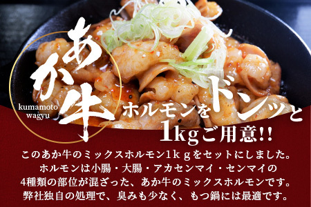 【 年内お届け 】熊本県産 あか牛 ミックス ホルモン 1kg（500g×2パック） ※12/19-27発送※ もつ鍋 焼肉 ホルモン 焼き BBQ 熊本県 あか牛 牛肉 046-0644-R712