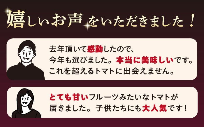 高糖度 トマト【順次発送】【糖度9度以上！】 大島トマト 特選「 ルビーのしずく 」約1.2kg  西海市産 トマト とまと 野菜 新鮮 旬  ＜大島造船所 農産グループ＞ [CCK016]