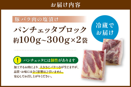 パンチェッタ【約200g×2】 ふるさと納税 豚肉 塩漬け ふるさと納税 ベーコン ふるさと納税 パンチェッタ 豚バラ 塩漬け スペイン料理
