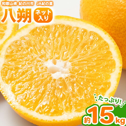 【ふるさと納税】八朔 ネット入 約15kg 3L-Lサイズ JAわかやま 紀の里地域本部 【先行予約】《2026年1月上旬-3月末頃出荷》 和歌山県 紀の川市 果物 フルーツ 柑橘 はっさく