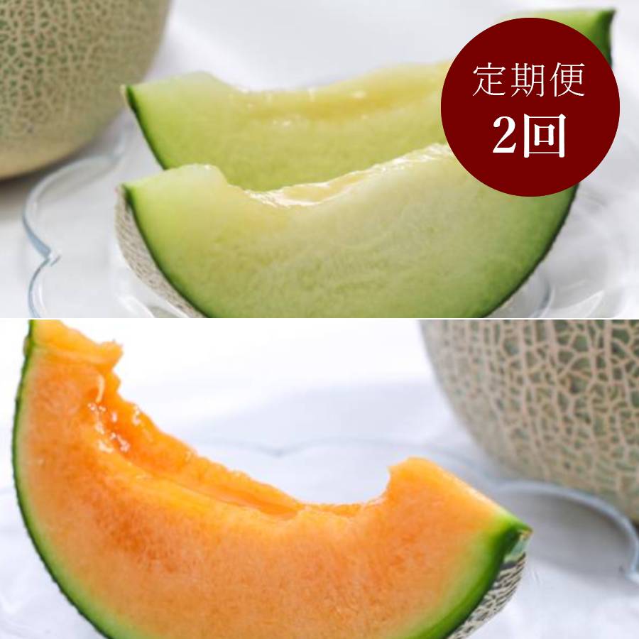 ＜山一ファーム＞旬の時期にお届け 茨城県産 2種のメロンの定期便A