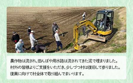 復興応援米 令和7年度 山形県戸沢村産 つや姫 10kg(5kg×2) 精米 白米 お米 米 ご飯 ごはん ブランド米 2025年産 令和7年 家庭用 自宅用 贈答用 お取り寄せ 食品 山形県 戸沢村