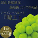 【ふるさと納税】[HS]ぶどう 2025年 先行予約 9月・10月発送 最高級品シャイン マスカット 晴王 1房 約600g ブドウ 葡萄 岡山県産 船穂産 フルーツ 果物 ギフト | フルーツ 果物 くだもの 食品 人気 おすすめ 送料無料