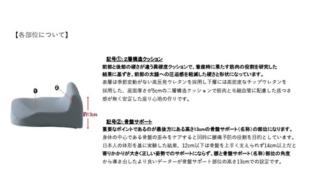 【人間工学】 骨盤ざぶとん（ワインレッド）