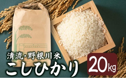 MZ003　【先行予約】 令和8年産 野根川米20kg（20kg×1袋） こしひかり  米 国産 コメ