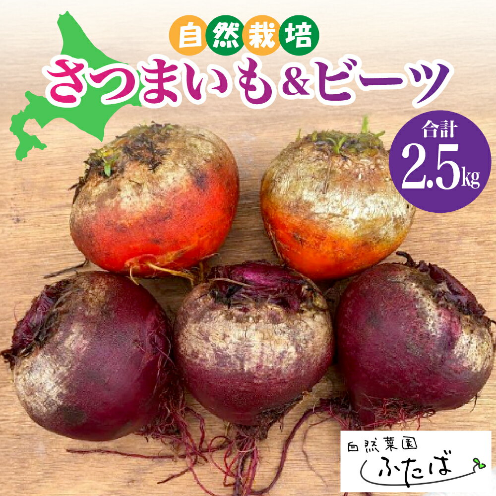 【ふるさと納税】自然菜園ふたば 宇佐美亮の さつまいも と ビーツ セット 2.5kg 【2月より順次発送】 野菜 やさい 産地直送 送料無料 北海道 十勝 芽室町