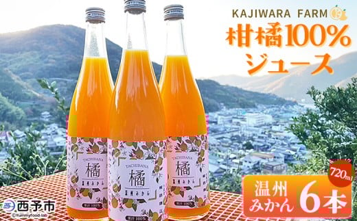 ＜柑橘100％ジュース （温州みかん6本）＞ 温州みかん ストレートジュース 果汁100％ ミカン 蜜柑 果物 柑橘 かじわらFARM 愛媛県 西予市【常温】『1か月以内に順次出荷予定』