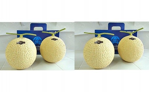 【通年発送可】最高級 温室アローマメロン　山級４玉 贈答 アローマメロン 温室 甘い ジューシー 甘い アローマ メロン めろん 舐瓜 高品質 化粧箱 プレゼント ギフト お中元 お歳暮 父の日 母の日 敬老の日 お祝い 手土産 贈答 贈答用 贈答品 フルーツ くだもの 果物 スイーツ デザート 甘い 箱付き 美味しい おいしい 静岡メロン 人気 おすすめ 送料無料 牧之原市 静岡県