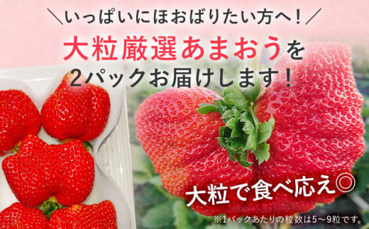 【2027年発送先行予約】厳選大粒あまおう約250～270g×2パック) いちご フルーツ 果物 あまおう 苺 イチゴ ギフト 大粒 福岡【発送時期2027年2月上旬～2027年4月中旬】