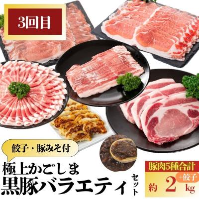 ふるさと納税 肝付町 <定期便・全3回(隔月)>『かごしま黒豚ふるさと定期便』極上セットE　E02005 |  | 03