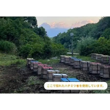伊豆産レモンのドライフルーツと胡桃のハチミツ漬け【1678162】