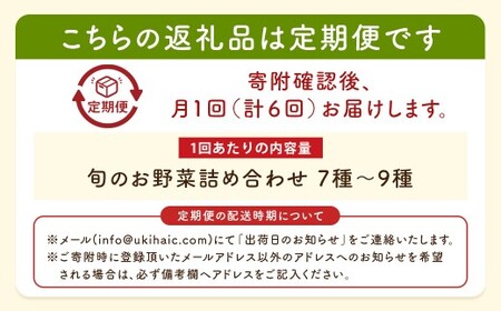 P333-06 UIC 【月イチ定期便】名水うきはの無農薬減農薬お野菜セット (ひと月1箱×半年間=計6回)