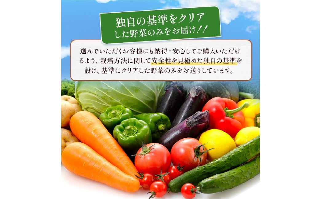 熊本県 10品目 野菜 セット 3ヶ月 定期便