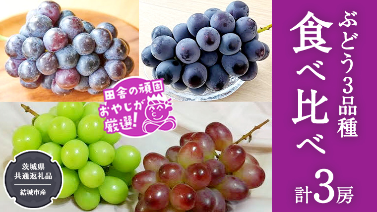 ぶどう 3品種 食べ比べ（各１房ずつ）【2025年8月より発送開始】（茨城県共通返礼品 [ぶどう]：結城市産） ブドウ 葡萄 果物 フルーツ 茨城県産